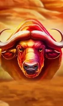 Buffalo Hold and Win Extreme